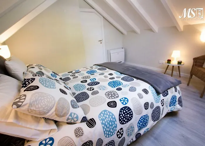 Ms Apartamentos, Lejlighed