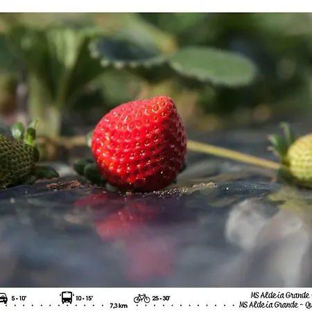 Ms Apartamentos, 公寓 塞图巴尔