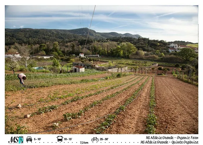 דירה Ms Apartamentos,