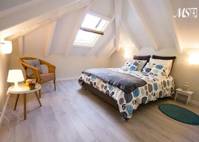 公寓 Ms Apartamentos, *